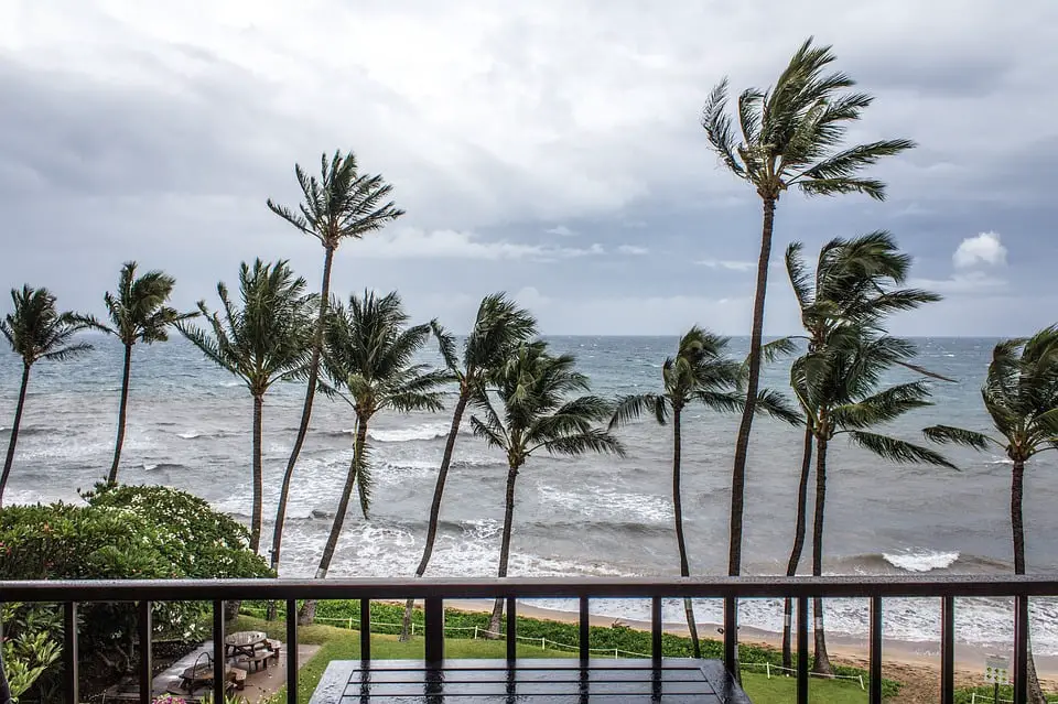 Cáritas Puerto Rico ayuda a las víctimas del huracán María 
