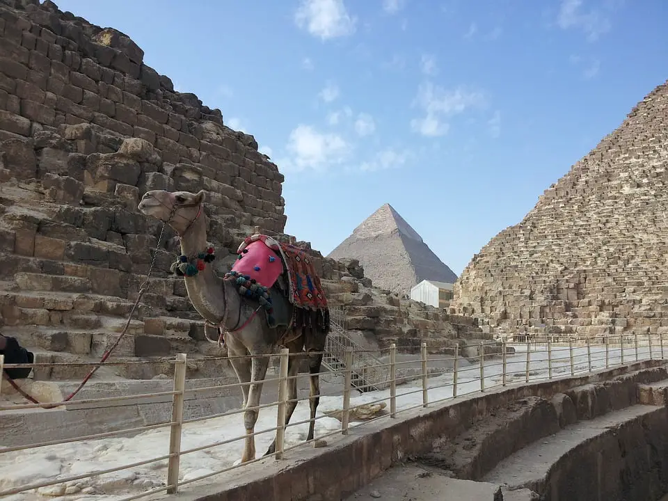 Papa envió bendiciones al pueblo de Egipto