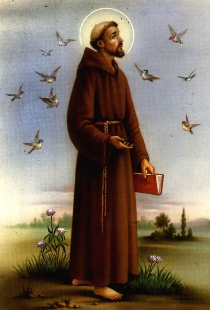 Hoy Se Celebra El D a De San Francisco De As s
