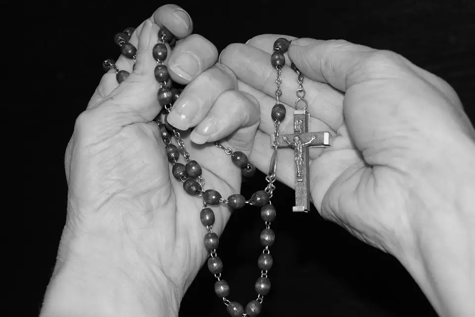 Papa invita a rezar el rosario durante octubre