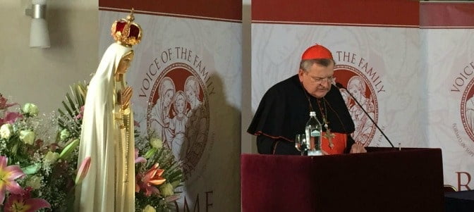 cardenal burke