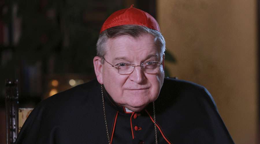 cardenal burke