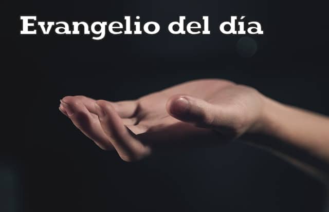 evangelio del día