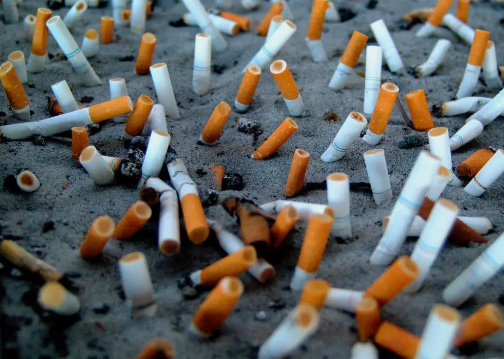 tabaco