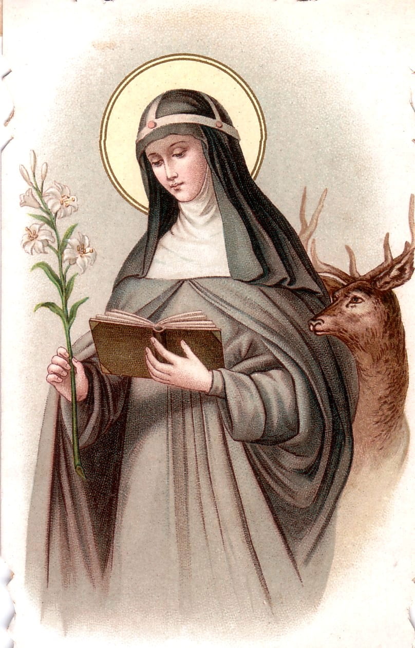santa catalina de suecia
