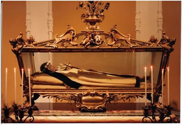 santa teresa margarita