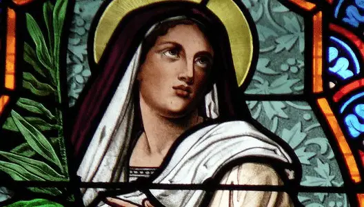 santa eugenia