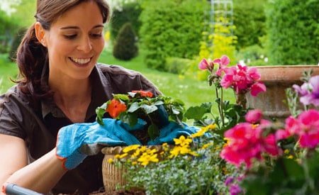 cuidados de las plantas