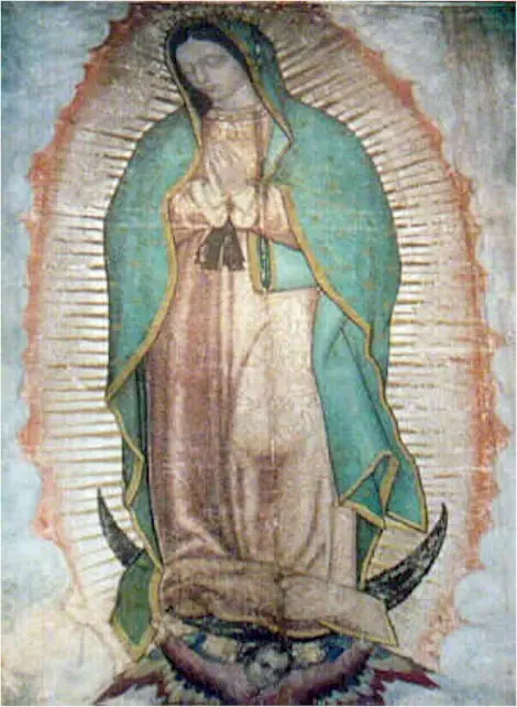 interpretacion de la imagen de la virgen de guadalupe