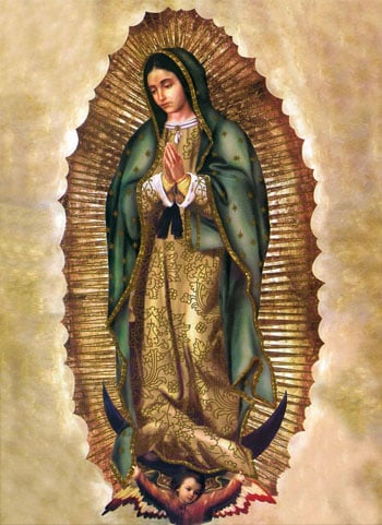 imagenes de la virgen de guadalupe