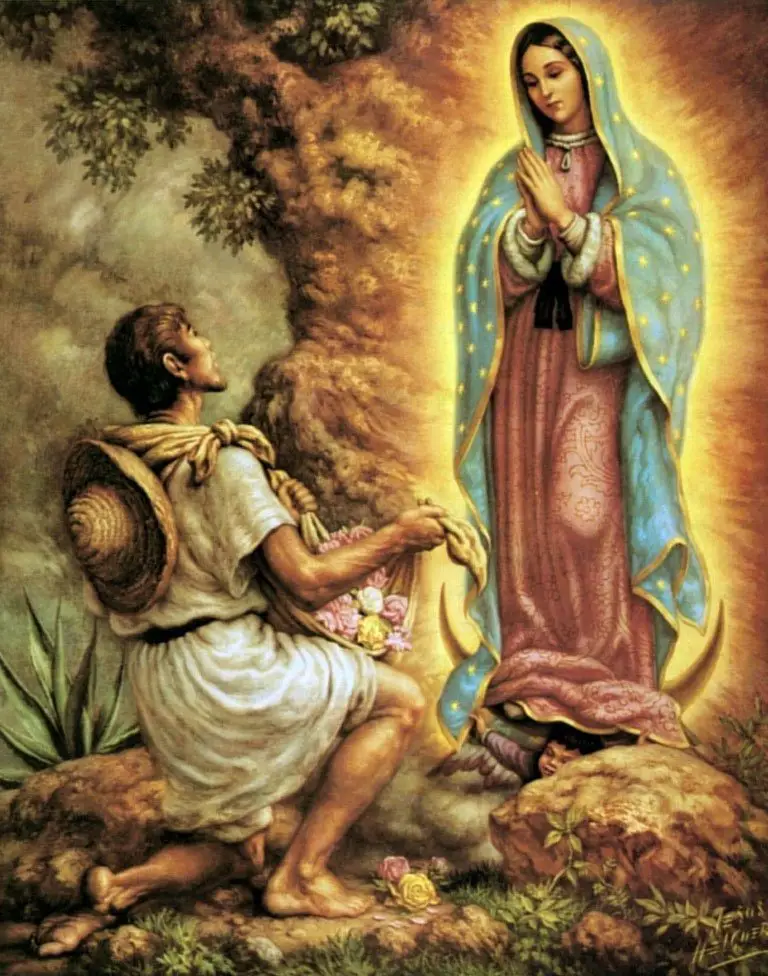 Resultado de imagen de virgen de guadalupe